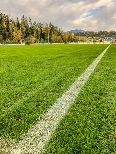 فيفا موبايل مهكرة كوينز لا نهائي 2024كل ما تحتاج معرفته